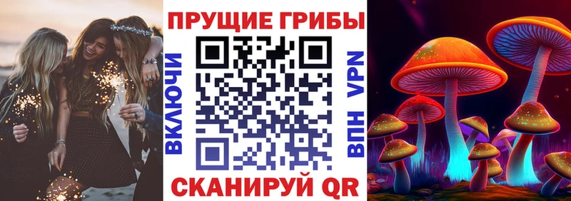 Галлюциногенные грибы прущие грибы цены Светогорск