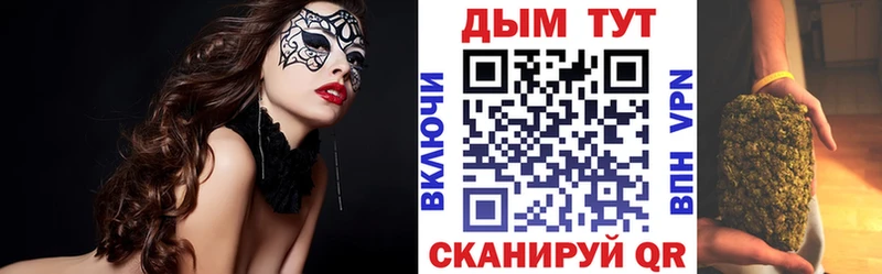 как найти закладки  Светогорск  Бошки марихуана тримм 